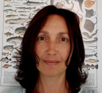 Valentina Giussani
