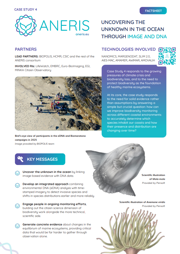 Case study 4 Facstheet