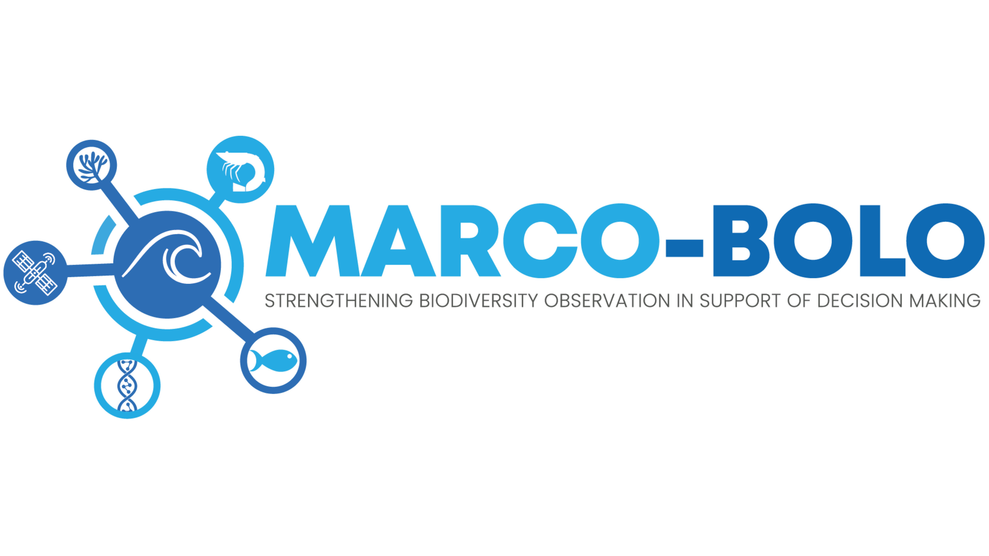 MARCO-BOLO logo