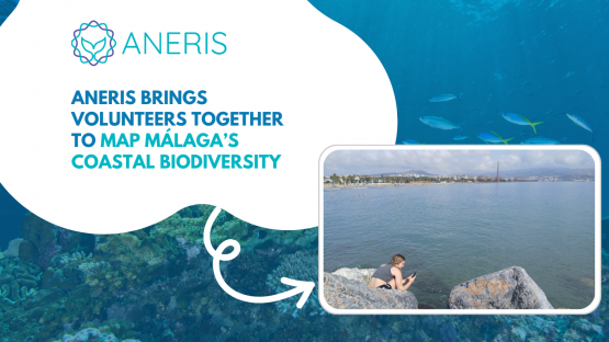 АNERIS brings volunteers together to map Málaga’s coastal biodiversity