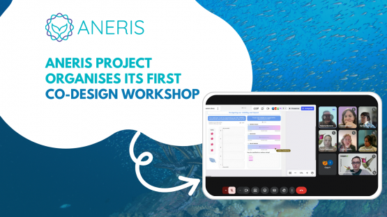 ANERIS organises its first Co-Design Workshop with Science for Change and Pensoft Publishers