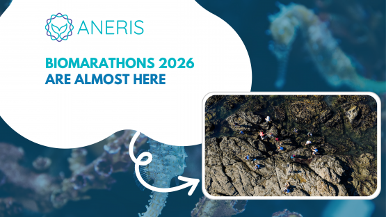 BioMARathons 2026 are almost here