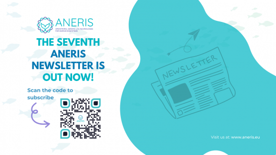 ANERIS’ seventh bi-annual Newsletter is Out Now