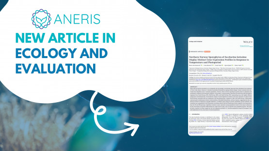 Recent study reveals local climate adaptation in Northern Norwegian sugar kelp