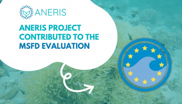 ANERIS project contributed to the MSFD evaluation