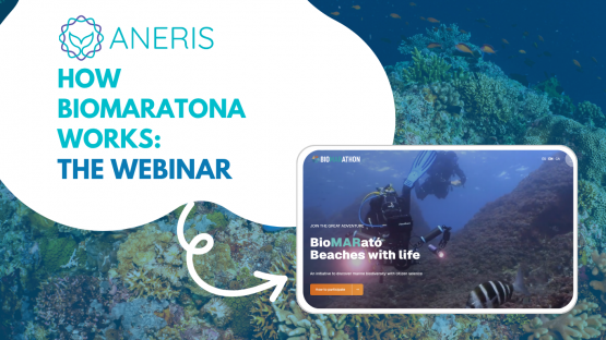 How BioMARatona works - the webinar