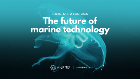 New Social Media Campaign: Presenting #ANERIStechs