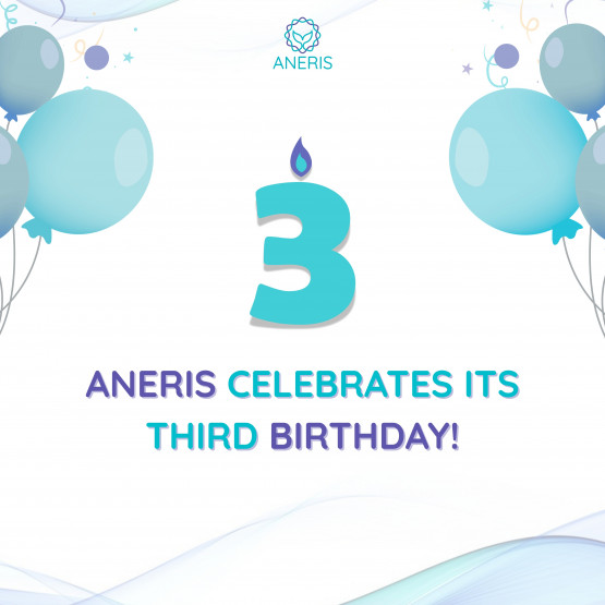ANERIS turns 3!