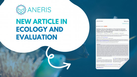 Recent study reveals local climate adaptation in Northern Norwegian sugar kelp